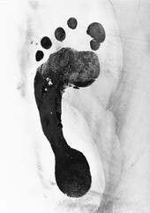 Carbon Footprint on a white background