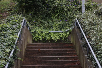 Stairs in an urban park