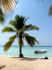 Fototapeta na wymiar paradise beach with palm trees and boat with motor in the background