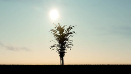 Obraz premium Plant at Sunset Landscape Background, 3D Rendering