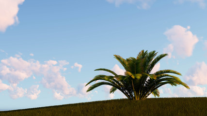 Plant at Sky Background 3D Rendering