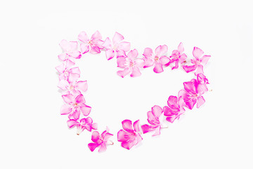 small natural pink oleander flowers in a heart pattern