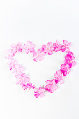small natural pink oleander flowers in a heart pattern