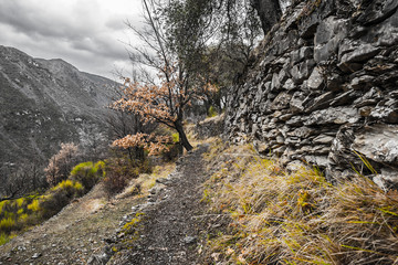 France, Cote d'Azur, South of France, View, PACA region, historic city of Braille sur Roi,...