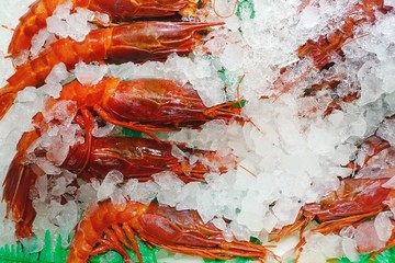 Obraz na płótnie Canvas The range of fresh seafood on ice 