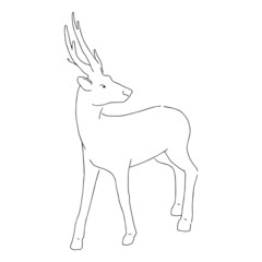 Cute deer. Hand drawn illustration