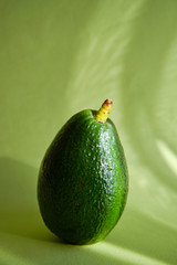 Green avocado in the sunlight in beautiful green background. Avocado closeup. Natural fresh organic eco product. Healthy eating, raw food diet. Vegetarian lifestyle. Proper nutrition. Ready to eat 