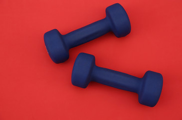blue dumbbells isolated on a red background. The concept of fitness, gym and healthy lifestyle. Top view. Flat lay. Copy space. Background, pattern, banner..