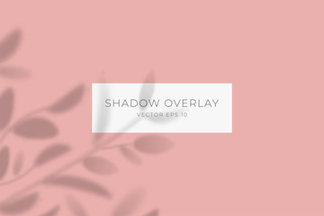 Transparent shadow overlay effect for branding. Drop shadow from the branches of plant on flat surface. Background for your design. Vector eps 10.