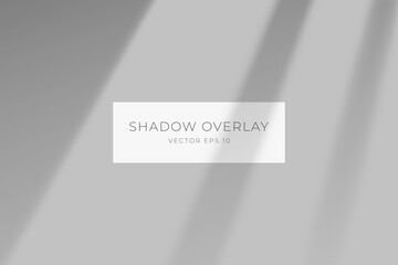 Transparent shadow overlay effect for branding. Long shadow on flat surface. Soft light from the window on the wall. Background for your design. Vector eps 10.