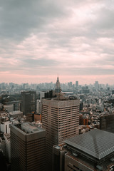 view of the city in japan