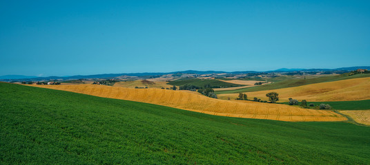 View of a sunny day in the Italian rural landscape. Unique Tuscany landscape in summer time. Wave hills, colorful fields, cypresses trees and sky.