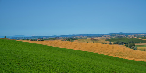 View of a sunny day in the Italian rural landscape. Unique Tuscany landscape in summer time. Wave hills, colorful fields, cypresses trees and sky.