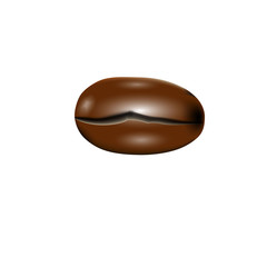 Isolate brown coffee bean roasted on white background for banner, poster, advertising.  Single chocolate seed. 