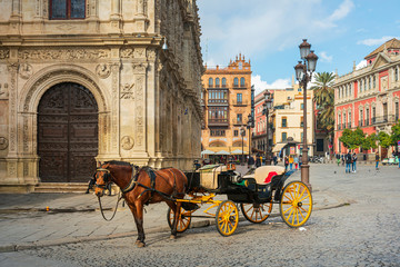 SEVILLA, SPAIN - January 13, 2018: horse and carriage carries tourists in Seville, Spain