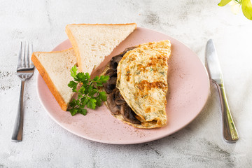 Omelet with mushrooms and sourdough toast isolated on white marble background. Homemade food. Tasty breakfast. Selective focus. Hotizontal photo.