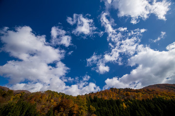 世界文化遺産の白川郷の秋の風景
