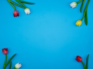 red, yellow and white wooden flowers with green leaves on the blue background