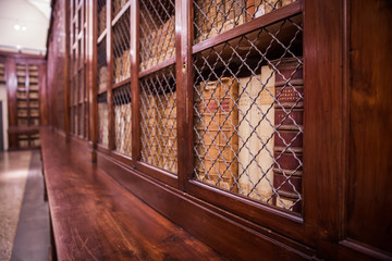 Ancient Library in Italy, old wooden library.