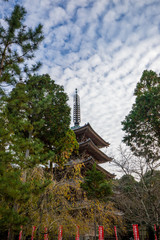 紅葉シーズンの京都のお寺の風景