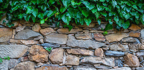 Pattern gray and brown color of retro style design decorative uneven cracked real stone wall surface with plant at medieval town.