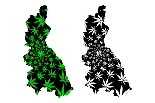 Cajamarca Region (Republic of Peru, Regions of Peru) map is designed cannabis leaf green and black, Cajamarca map made of marijuana (marihuana,THC) foliage....