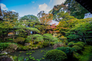 Fototapeta premium 京都のお寺の紅葉シーズンの風景