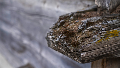 Weathered old wood texture background. Part of the wall wooden house in village in Swiss Alps. The barns, stores, stables and old houses. Timber wood wall texture background.