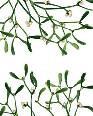 Floral background