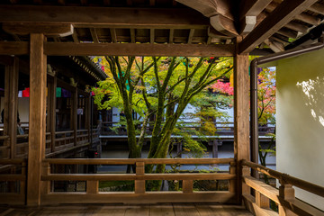 秋の紅葉シーズンの京都のお寺の風景