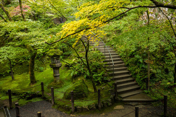 秋の紅葉シーズンの京都のお寺の風景