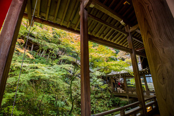 秋の紅葉シーズンの京都のお寺の風景