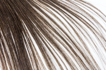 Obraz premium hair and scissors