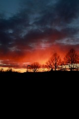 Obraz premium silhouette of a tree at sunset, In Sweden