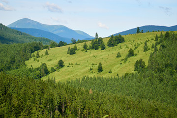 Fototapeta na wymiar Green hills of the Carpathian mountains