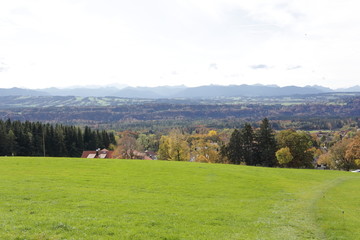 landscape with green field and sky