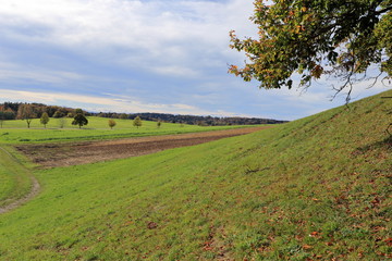 Obraz premium landscape with green field and blue sky