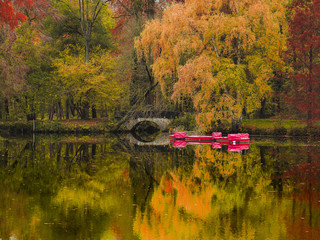boats floating in the park
