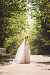 elegant luxury happy bride posing on background of amazing trees in park. beautiful bride in long wedding dress. white dress with long veil
