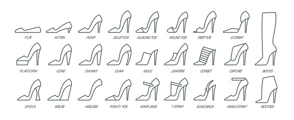 Set of female shoes. Elegant black slippers on while background. Vector illustration. Good for wrapping, print, wallpaper.