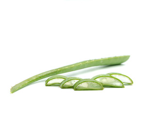 horizontal image of an aloe vera