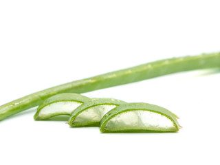close up aloe vera image on white background