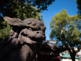 日本の神社の狛犬