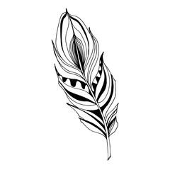 Obraz premium Vector Bird feather from wing isolated. Black and white engraved ink art. Isolated feathers illustration element.