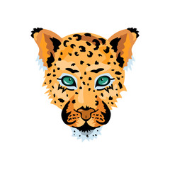 Leopard, wild cat face for pattern, design, t-shirt print, sticker. Vector illustration on white background.