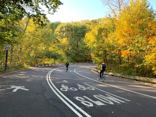 Daily walking around in Central Park Manhattan New York City.