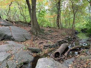 Daily walking around in Central Park Manhattan New York City.
