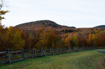 Vermont Foliage October autumn leaves 2