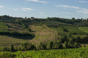 Fototapeta premium Farmland in Tuscan countryside