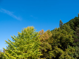 Obraz premium 紅葉が始まった山と秋晴れの青空